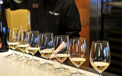 De vinos de puerto en puerto